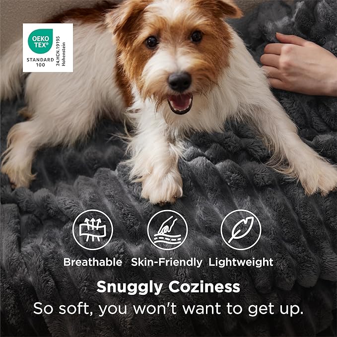 Bedsure GentleSoft Grey Fleece Blanket for Couch - Cozy Soft Blankets for Women, Cute Small Throws for Girls, 50x70 Inches - Bloomnest