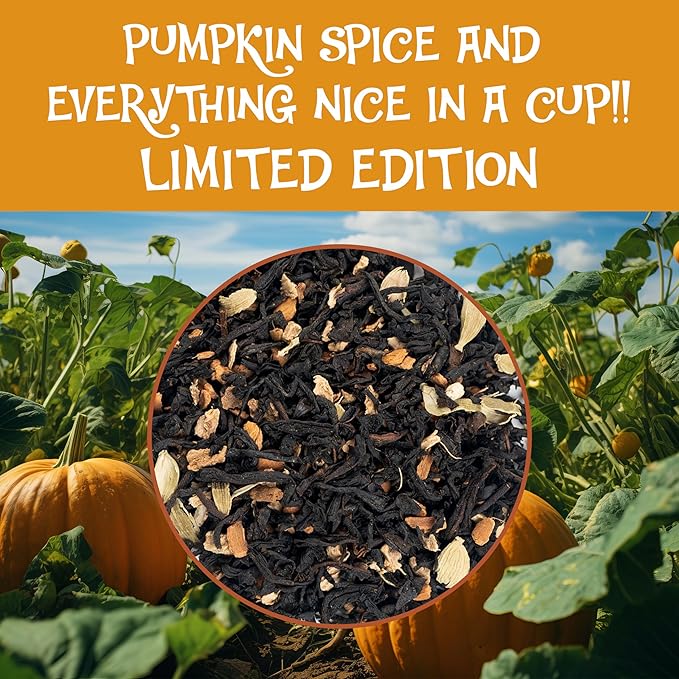 BREWIX, Pumpkin Spice Black Tea, Loose Leaf Tea (50+ Cups, 3.53oz/100g) | Fall | Halloween | Warm and Spicy - Bloomnest