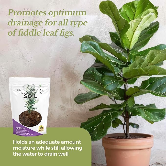 Large Bag Houseplant Fiddle Leaf Fig Soil Premium All Purpose Blend | Ready to Use for Indoor Houseplants | Peat, Sawdust, Course Sand and Pinebark | Extra Large 8.2 Quarts | Made in USA - Bloomnest