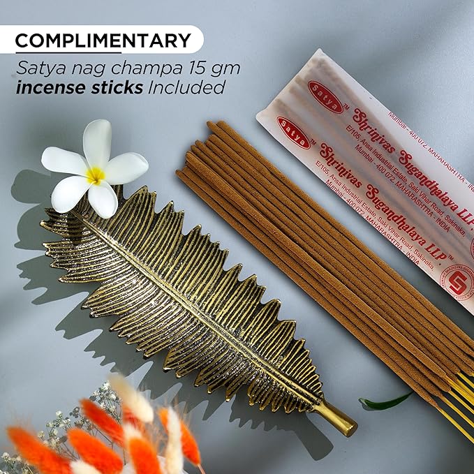 Raajsee Incense Holder Set with Nag Champa Incense Sticks 15gm, Leaf Insense-Stick Holder, Brass Incense Burner,Modern Stick Incente Holder for Yoga, Meditation,Home Décor Size 10x4 inches GOLD - Bloomnest