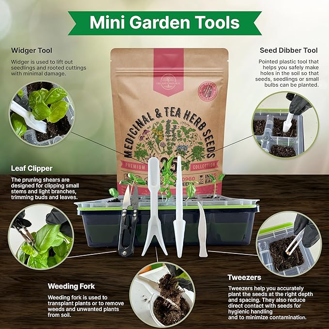 Organo Republic 25 Medicinal & Tea Herb Seeds Variety Pack for Indoor & Outdoors. 10900+ Non-GMO Heirloom Garden Seeds: Anise, Borage, Cilantro, Chamomile, Dandelion, Rosemary, Peppermint Seeds - Bloomnest
