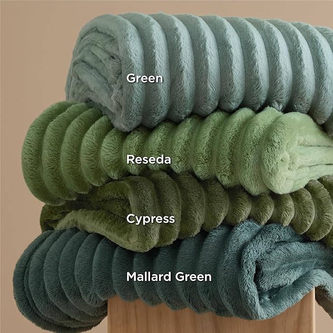 Bedsure GentleSoft Christmas Throw Blanket for Couch - Cozy Soft Green Blankets for Women, Cute Small Fleece Christmas Throws Gifts for Teens Girls Room Home Decor, Sage Green, 50x60 Inches - Bloomnest