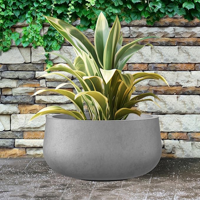 Kante 19.6" Dia Round Concrete Planter, Cement Plant Pots with Drainage Hole and Rubber Plug for Outdoor Indoor Garden Home, Modern Curvaceous Design, Natural Concrete - Bloomnest