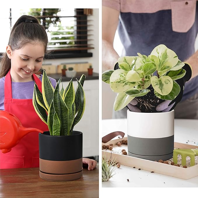 D'vine Dev Set of 2 Plants Pots, 6 Inch Ceramic Planter Pot for Plants with Drainage Hole and Saucer, White-Grey/Black-Tan, 94-V-C-C - Bloomnest