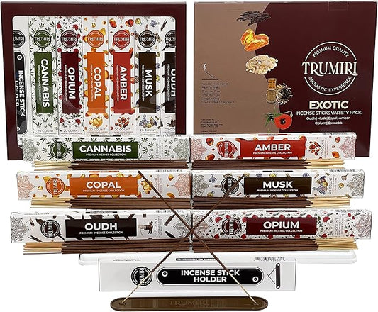 Exotic Incense Sticks Variety Pack - 120 Insence-Sticks (6 Incents x 20 Insense) - Copal Amber Oud (Agarwood) Musk - Natural Inscents-Sticks Non Toxic Incienso + Incense Holder for Men Women - Bloomnest