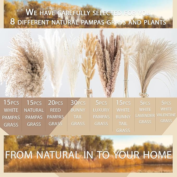 130PCS Natural Dried Pampas Grass Boho Home Decor Bouquet Phragmites Dried Flowers Bouquet for Wedding Floral Arrangements Home Decorations (130PCS) - Bloomnest