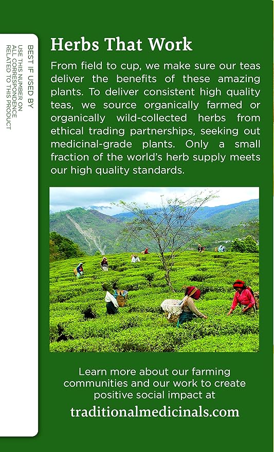 Traditional Medicinals Organic Ginger & Chamomile Herbal Tea, Relieves Occasional Indigestion or Nausea, (Pack of 1) - 16 Tea Bags - Bloomnest