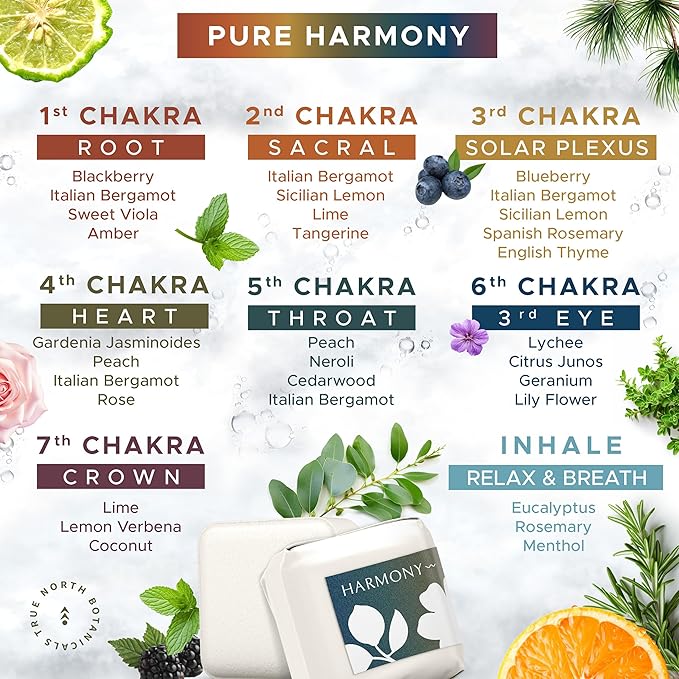 Shower Steamers for Women: Aromatherapy Bombs, Vapor Tablets, Individually Wrapped - Bloomnest