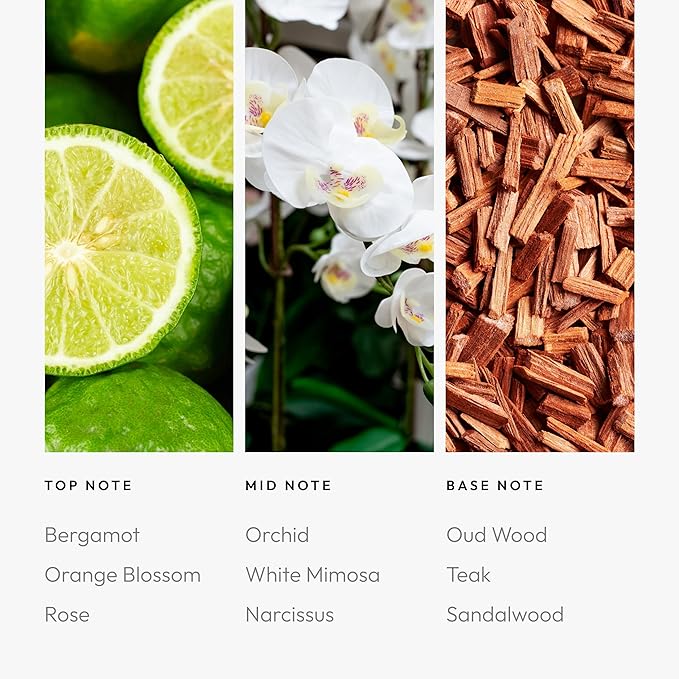 Aroma360 | Disney - A Whole New World Fragrance Oil Blend | Disney Princess Jasmine | Luxury Essential Oil Diffuser | Aromatherapy Scent Diffuser Oil | Bergamot Orange Blossom Rose 1.7 fl oz 50 mL - Bloomnest