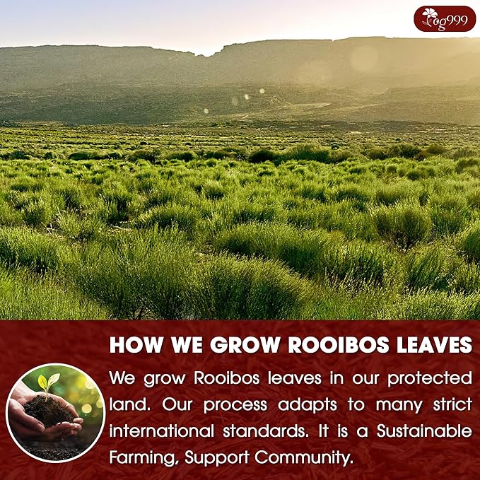 TOG999, 135 Premium Red Rooibos Tea Bags, 100% Natural & Pure from Rooibos Tea Leaves. Loose Leaf Rooibos Herbal Tea. Made with Natural Material Tea Bags. No Sugar, No Caffeine, No Gluten, Vegan. - Bloomnest
