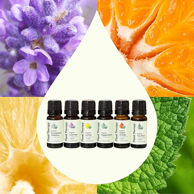 Plant Therapy Top 6 USDA Organic Essential Oil Set - Lavender, Peppermint, Eucalyptus, Lemon, Tea Tree 100% Pure, Natural Aromatherapy, for Diffusion & Topical Use, Therapeutic Grade 10 mL (1/3 oz) - Bloomnest