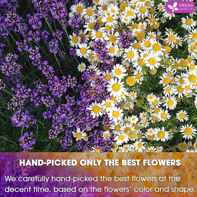FreshDrinkUS, Premium 135 Chamomile Lavender Tea Bags, 100% Natural Herbal Ingredients, Hand-made Blend of Chamomile Lavender Flowers, Eco-conscious Tea Bags. No Sugar, No Caffeine, No Gluten, Vegan. - Bloomnest