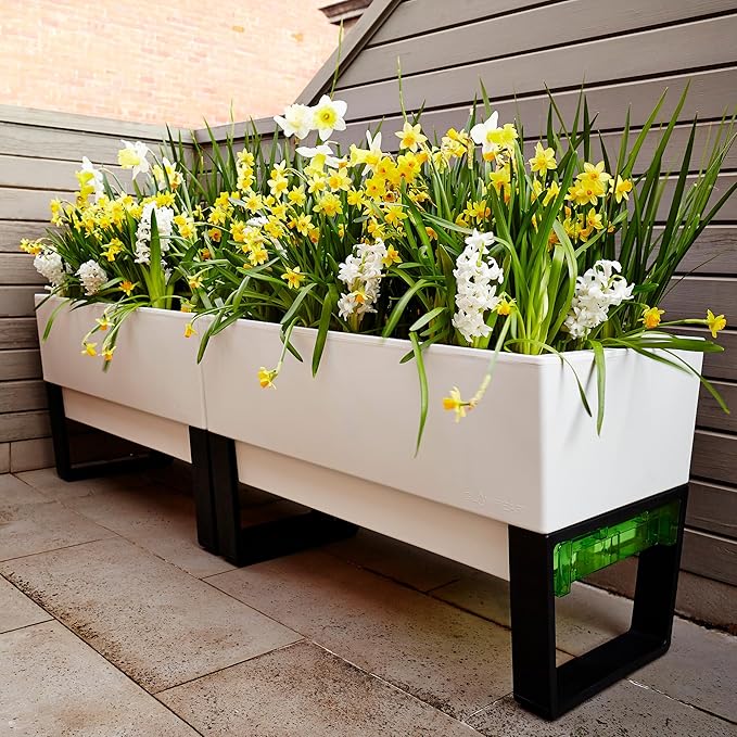 Glowpear Self Watering Planter Box - 29.5", White - UV Stable, Scalable Urban Raised Garden Bed with Water Gauge, Indoor Outdoor for Vegetables, Flowers, Herbs, and Succulents, Gardening - Bloomnest