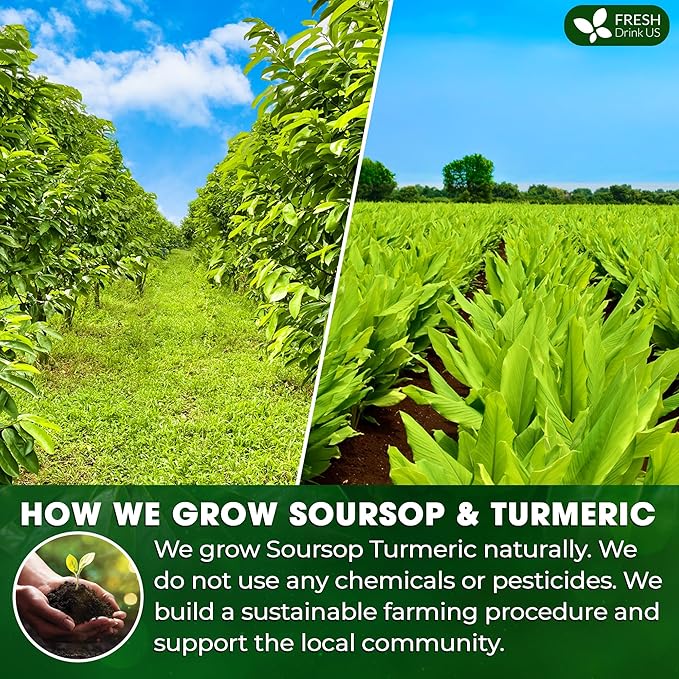 FreshDrinkUS, Premium 40 Soursop Turmeric Tea Bags, 100% Natural, Blend of Soursop Leaves, and Turmeric Root. Made with Natural Material Tea Bags. No Sugar, Vegan. - Bloomnest