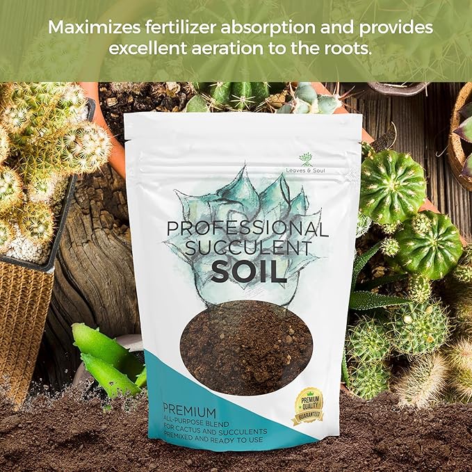 Succulent Soil Premium All Purpose Blend | Large 2.2 Quarts | Pre-Mixed Ready to Use for Cactus and Succulents | Canadian Peat, Course Sand, Pinebark | Made in USA - Bloomnest