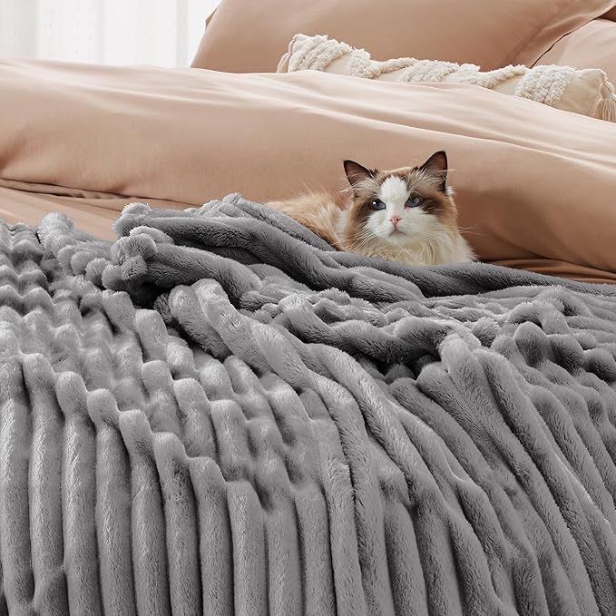 Bedsure GentleSoft Frost Gray Fleece Blanket for Couch - Cozy Soft Blankets for Women, Cute Small Throws for Girls, 90x90 Inches - Bloomnest
