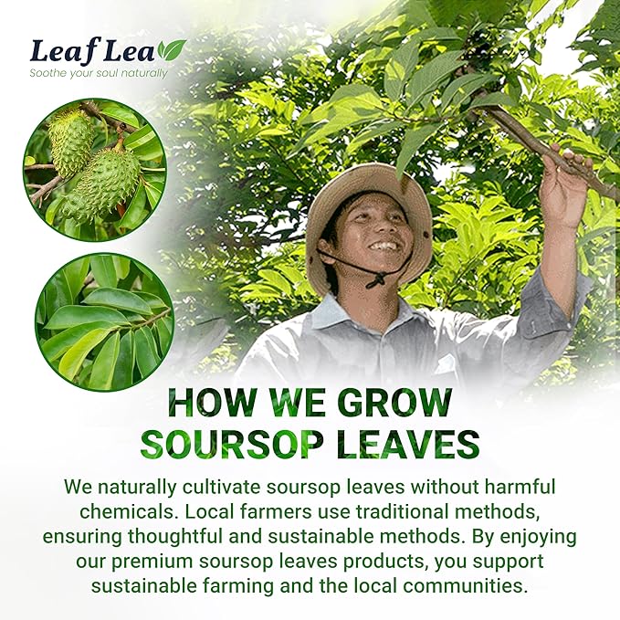 LeafLea 120 Soursop Tea Bags, from 100% Natural Pure Soursop Graviola Leaves, Improve Digestion, Support Healthy Skin & Sleep, Herbal Tea Caffeine-free, Hojas De Guanabana Tea, Non-GMO, Pack of 3 - Bloomnest