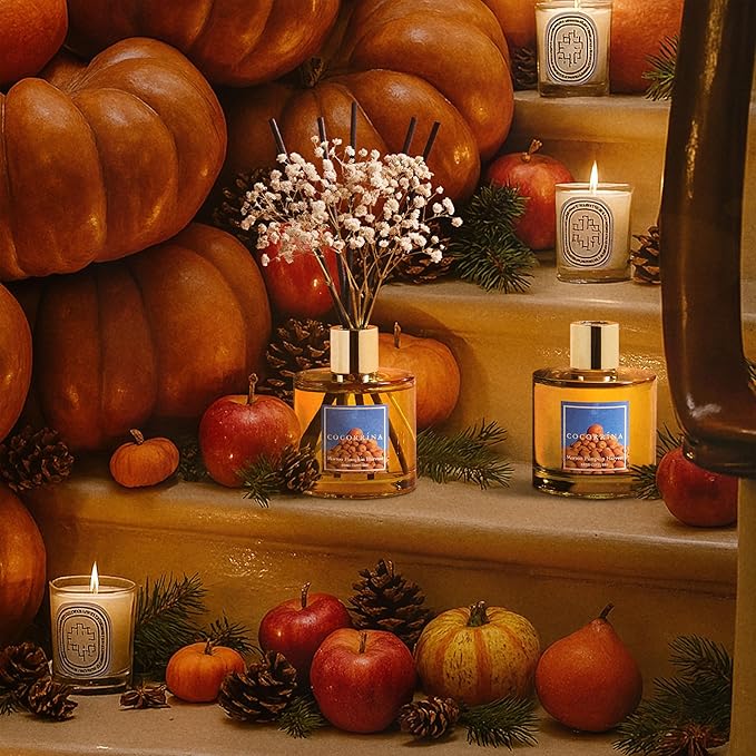 COCORRÍNA Reed Diffuser - Morton Pumpkin Harvest Reed Diffuser Set with 8 Sticks & Preserved Baby's Breath, Reed Diffuser for Home Bathroom Shelf Decor - Bloomnest