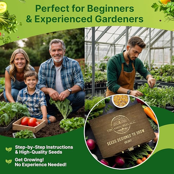 Organo Republic Medicinal & Tea Herb Seeds Variety Pack for Indoor & Outdoors - 75 Variety Pack. Non-GMO Heirloom Garden Seeds: Rosemary, Cilantro, Basil, Oregano, Parsley, Dill, Lavender, Catnip - Bloomnest