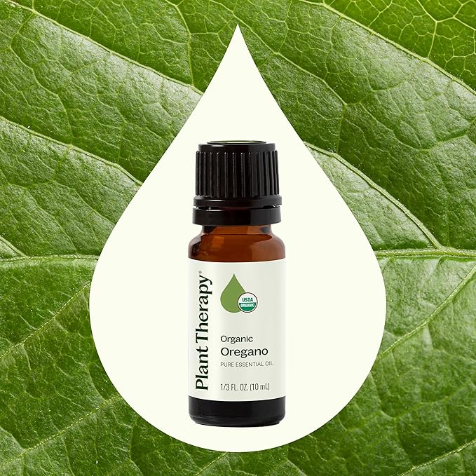 Plant Therapy Organic Oregano Essential Oil 100% Pure, USDA Certified Organic, Undiluted, Natural Aromatherapy, Therapeutic Grade 10 mL (1/3 oz) - Bloomnest