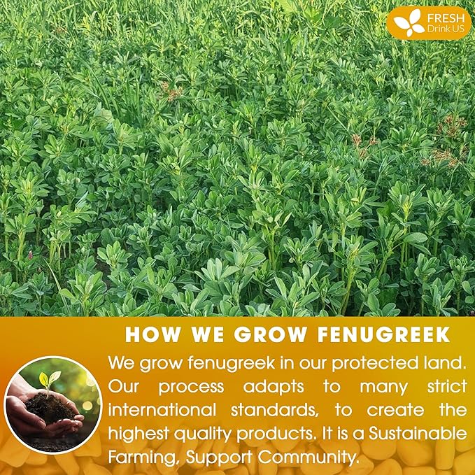 FreshDrinkUS, Premium 15 Tea Bags Fenugreek, 100% Natural & Pure from Fenugreek. Fenugreek Herbal Tea. Made with Natural Material Tea Bags. No Sugar, No Caffeine, No Gluten, Vegan. - Bloomnest