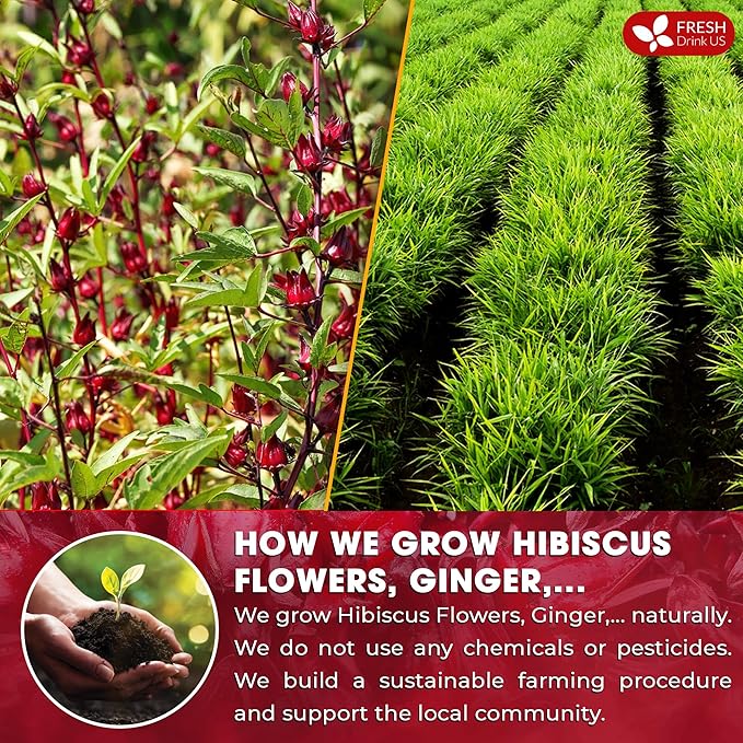 FreshDrinkUS, 60 Tea Bags Super Hibiscus Heart Blend– Herbal Tea with Hibiscus Flower, Ginger, Cinnamon Stick, Lemongrass & Rose Hip – Naturally Caffeine-Free, Sugar-Free, Vegan - Bloomnest