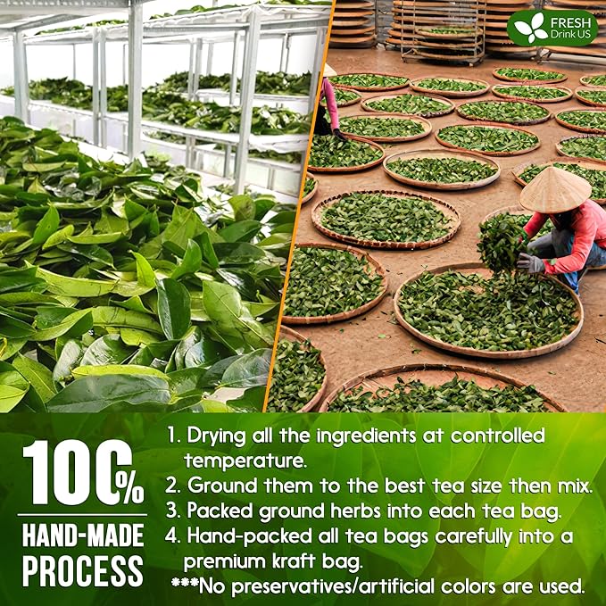 FreshDrinkUS, Premium 75 Tea Bags Soursop Green Tea, 100% Natural & Proprietary Blend from Soursop Leaves and Green Tea. Smooth Flavor. Made with Eco-Conscious Tea Bags. No Additives No Sugar, Vegan. - Bloomnest