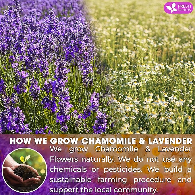 FreshDrinkUS, Premium 135 Chamomile Lavender Tea Bags, 100% Natural Herbal Ingredients, Hand-made Blend of Chamomile Lavender Flowers, Eco-conscious Tea Bags. No Sugar, No Caffeine, No Gluten, Vegan. - Bloomnest
