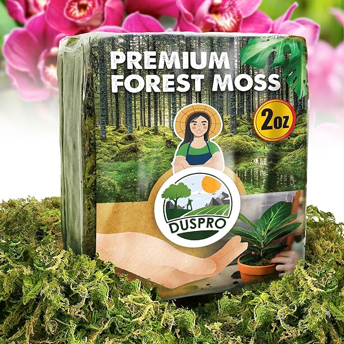 DUSPRO Dried Moss for Potted Plants, Forest Orchid Moss for Potting Mix, Sphagnum Potting Moss for Plants Indoor, Real Moss Soil Cover for Houseplant (2 OZ) - Bloomnest