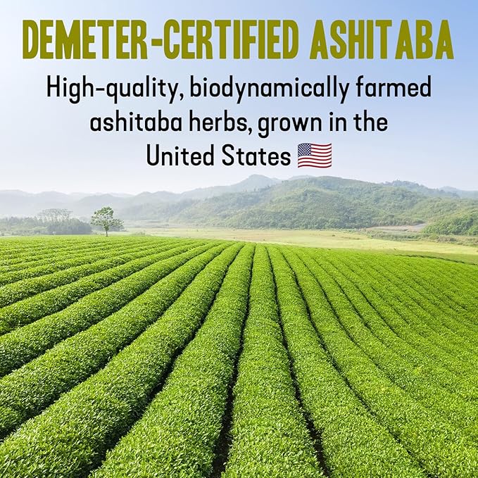 High‑Polyphenol Ashitaba Tea Blend – Demeter Certified Biodynamic U.S. Organic Ashitaba,Sencha Green Tea, with Elderberry & Olive Leaf – 20 Compostable Bags – Perfect for Detox, Metabolic Support - Bloomnest
