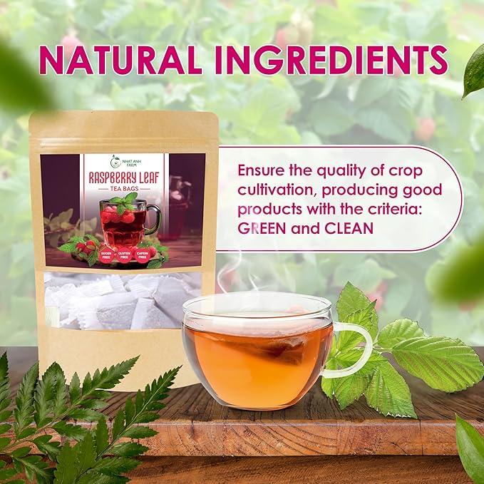 Nhat Anh Farm - Premium Red Raspberry Tea Bags - 40 Dried Red Raspberry Leaf Tea Bags, 100% Natural & Pure Raspberry Leaf, Sugar/Caffeine/Gluten Free. Good For Female Health. - Bloomnest