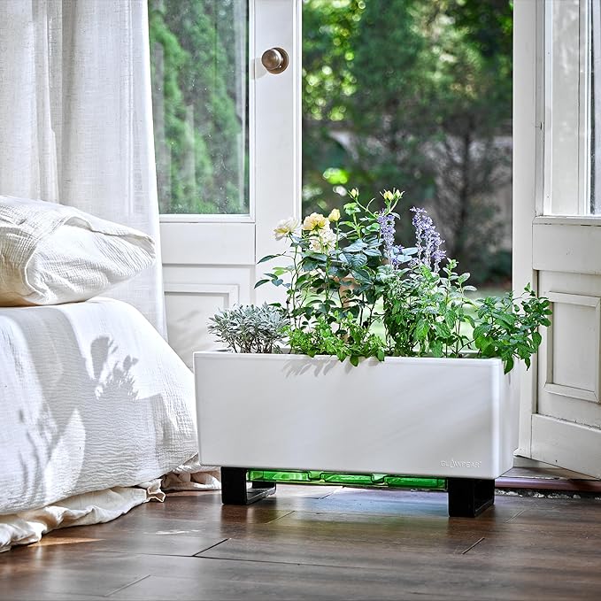 Glowpear Self-Watering Mini Bench Planter - 23.6" in Pot, Free Standing, UV Stable, Scalable, Indoor | Outdoor Pot with Water Gauge, for Home Kitchen Windowsill Gardening - Bloomnest