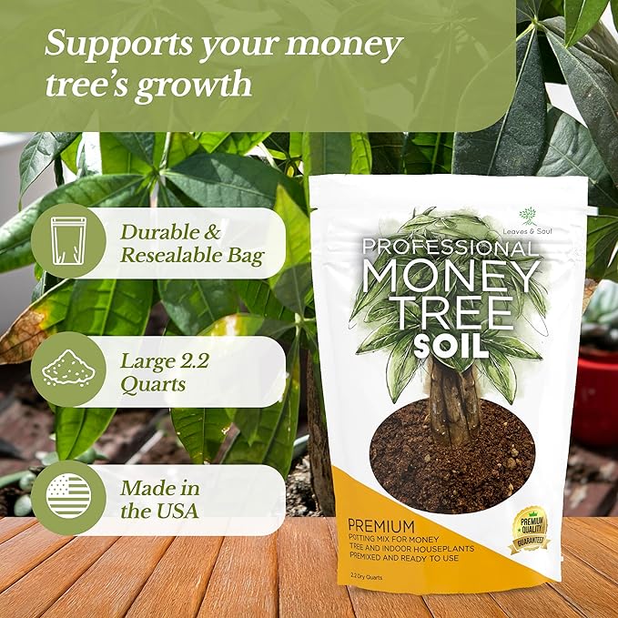 Professional Money Tree Soil | Large 2.2 Quarts Ready to Use for Money Tree Plants | Peat Moss, Coco Coir, Perlite, Dolomite | Made in USA - Bloomnest