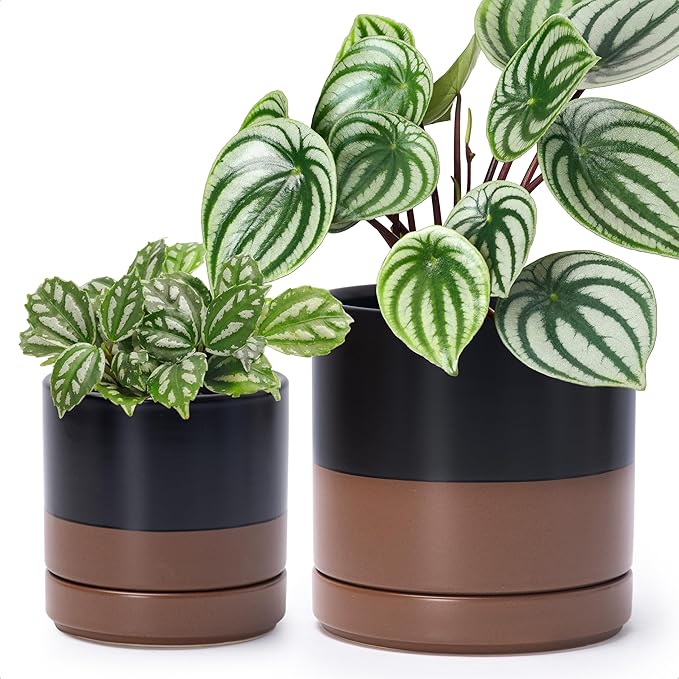 D'vine Dev 4.7 Inch & 6.5 Inch Ceramic Planter Pots for Plants with Drainage Hole and Saucer, Small Plant Pots Set, Black/Speckled Tan, 94-G-S-7 - Bloomnest