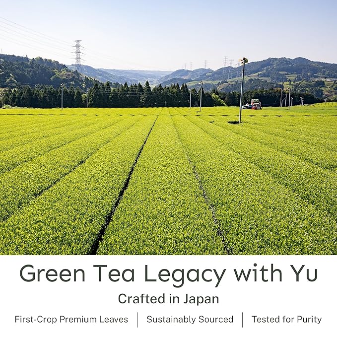 Yu Tea Organic Sencha Green Tea Powder, 30 Instant Packets | Rich in Antioxidants, EGCG, & L-Theanine | Pure Japanese First Harvest Leaf | Low Caffeine & Unsweetened | Single Serve Sticks - Bloomnest