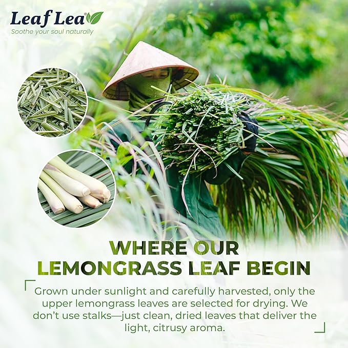 LeafLea 80 Premium Lemongrass Tea Bags, Natural Herbal Lemongrass Leaves, Te de Limoncillo for Digestion Support, Light & Soothing Taste, Caffeine-Free, Sugar-Free, Vegan, Individually Wrapped - Bloomnest
