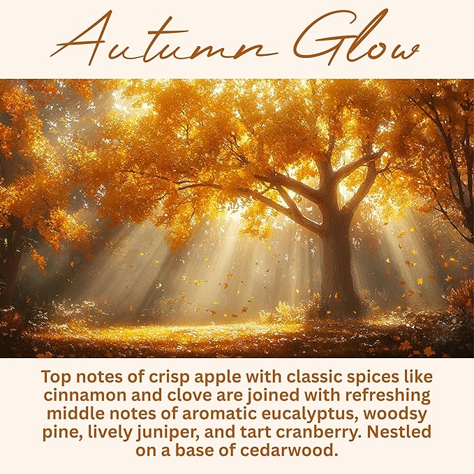 Wickless Candles for Candle Warmer Lamp, Many Scents to Choose, 100% Non-Toxic Soy Wax, Scented Candle Melts for Warming Plate, Handmade in The USA (Autumn Glow) - Bloomnest