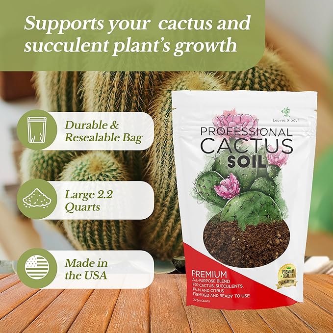 Professional Cactus Soil | Large 2.2 Quarts Ready to Use for Cactus Plants | Peat Moss, Coco Coir, Perlite, Dolomite | Made in USA - Bloomnest
