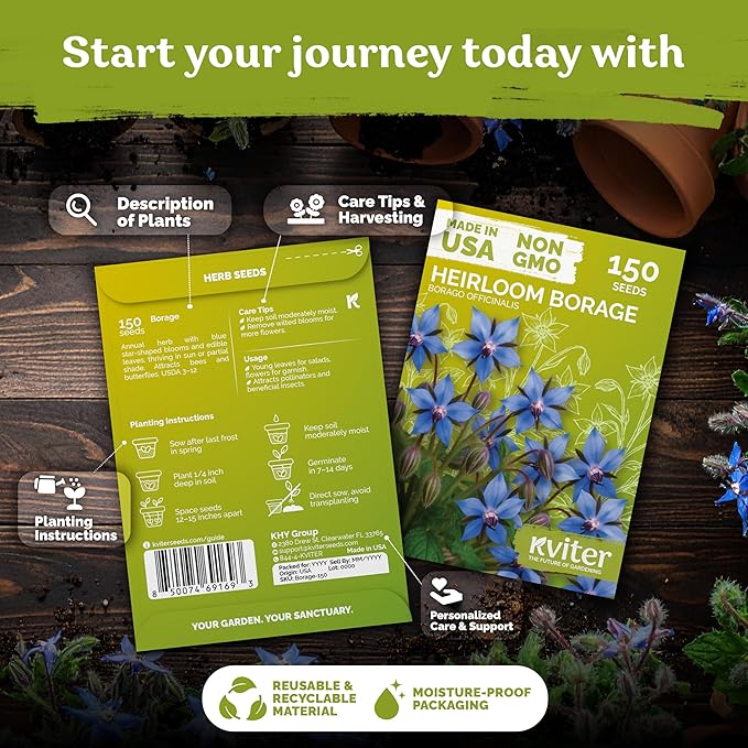 KVITER 150 Borage Seeds (Borago officinalis) - Blue Strawflower, Edible Flower for Teas, Attracts Pollinators - Organic & Heirloom Herb Seeds for Planting in Outdoor & Indoor Garden, Beds, Containers - Bloomnest