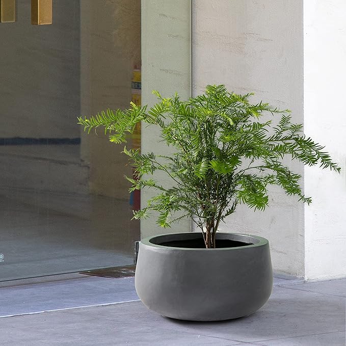 Kante 15.7" Dia Round Concrete Planter, Cement Plant Pots with Drainage Hole and Rubber Plug for Outdoor Indoor Garden Home, Modern Curvaceous Design, Dark Gray - Bloomnest