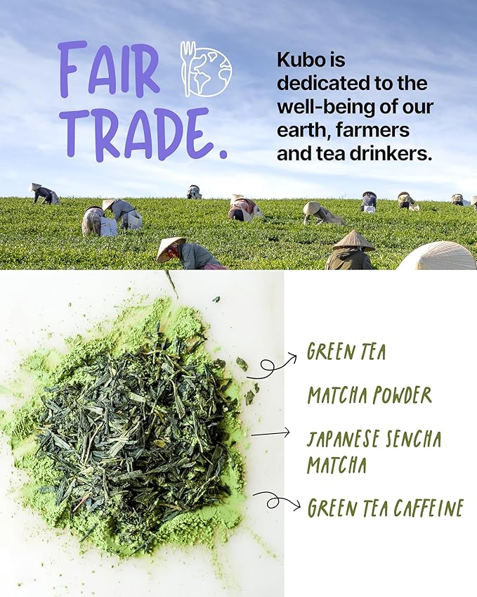 Kubo Tea Japanese Sencha Matcha Tea - Organic High Caffeine Energy Blend w/ Matcha Powder - 20 Pillow Tea Bags (140mg Caffeine each) - Coffee Substitute for Hot & Iced Drinks, Biodegradable & Compostable Packaging - Bloomnest