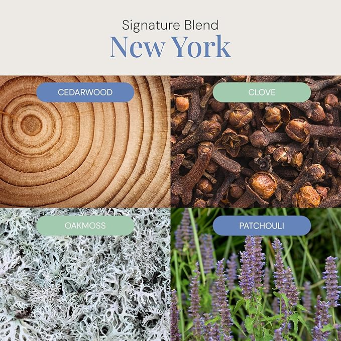 New York Aroma Oil, Essential Oils Blend for Diffusers & Scent Machines, Elegant Cedarwood & Spicy Clove, Aromatherapy, Cold Air Diffuser Compatible, 300 mL - Bloomnest