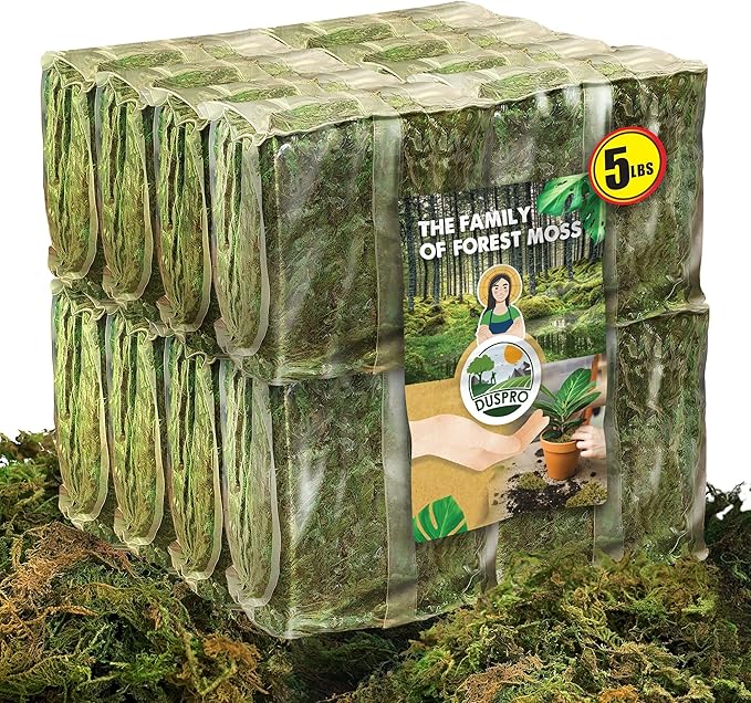 DUSPRO Big Bag Dried Forest Moss for Plant Propagation Sphagnum Moss Bulk for Orchid Repotting Mix Organic Soil Medium Bale Premium Hand Selected (5 LBS) - Bloomnest