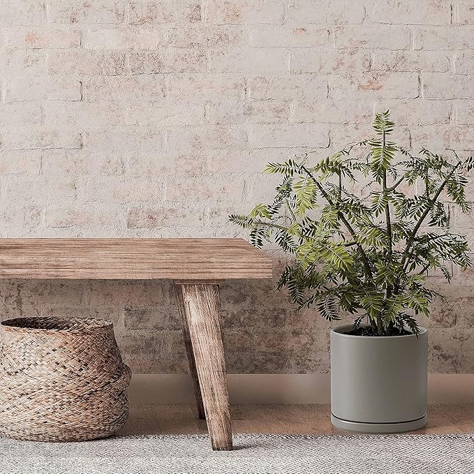 Set of 2 Plants Pots, 8 Inch Ceramic Planter Pot for Plants with Drainage Hole and Saucer, Speckled Grey, 94-V-D-3 - Bloomnest