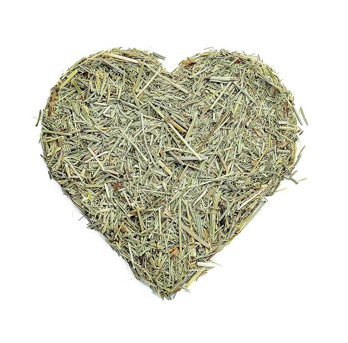 Super Value Pack 5 LB - Organic Horsetail (Equisetum arvense) – Loose Dried Herb – Edible Grade for Tea, Infusions & Herbal Blends - Bloomnest
