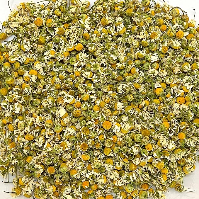 TIAN HU SHAN Chamomile Flowers Herbal Tea, Chamomile Tea Loose Leaf, Sugar Free Caffeine Free, Natural Clean without Impurities, Vegan 4 Ounce (Pack of 1) - Bloomnest
