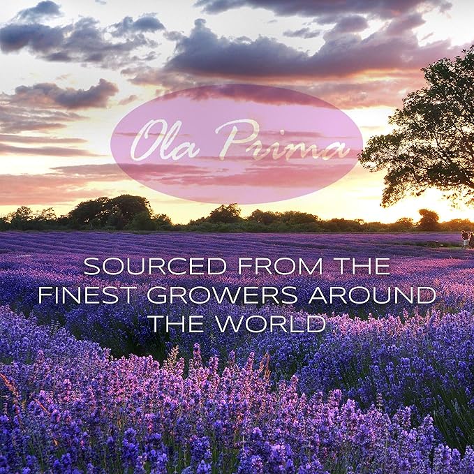 Ola Prima Therapeutic Grade Peppermint Essential Oil - 8 Fluid Ounces - Bloomnest