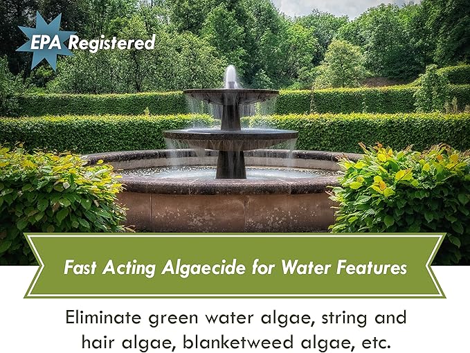 Fountain Algaecide and Clarifier - 32oz - Kills and Inhibits All Types of Algae Growth, Formulated for Small Ponds and Water Features, Treats up to 32,000 Gallons - Bloomnest